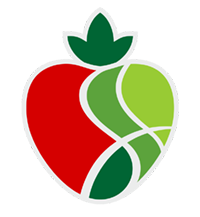 cropped-site-size.png